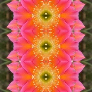 Meet your Posher, Jon